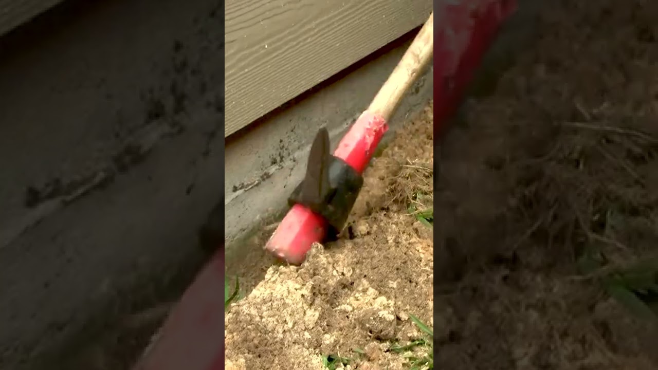 Dealing With Termites? Use Taurus SC & FiPro Foaming Aerosol to Get Rid of the Infestation!