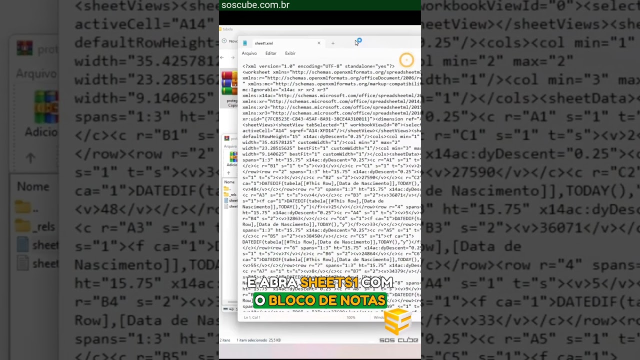 Dicas R&aacute;pidas Excel - Quebrar prote&ccedil;&atilde;o de planilha protegida por senha | SOS Cube