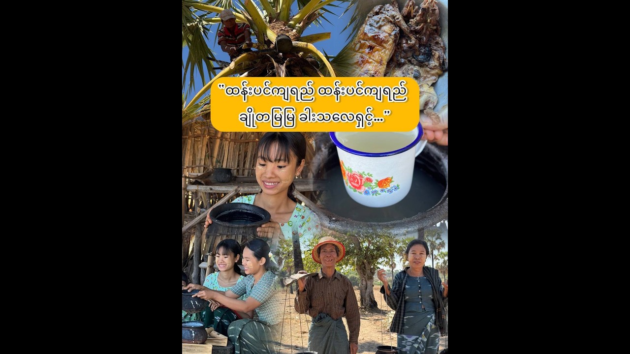 “ထန်းပင်ကျရည် ချိုမြမြနဲ့ ကြွက်စပ်ကြော်ကမြိန်  ”