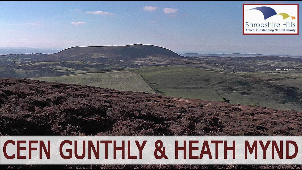 SHROPSHIRE HILLS  Cefn Gunthly & Heath Mynd, nr Bishop's Castle