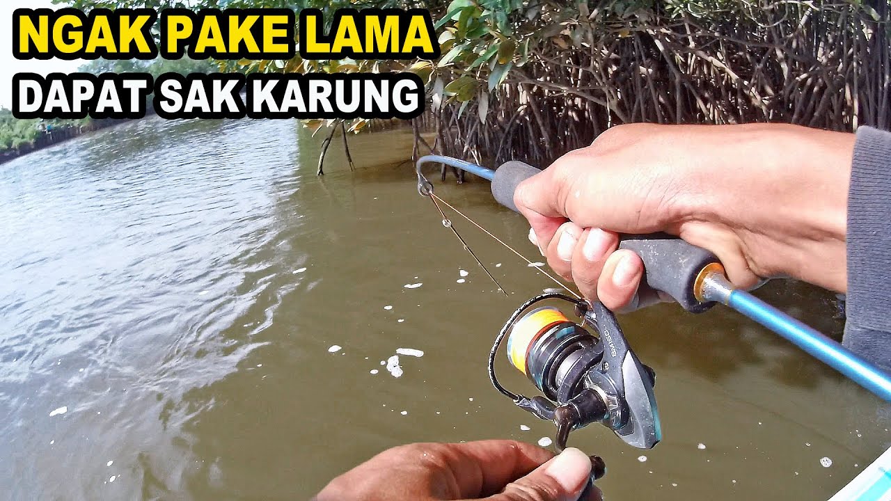Narik Barramundi Dan kakap bakau Sak Puasmu
