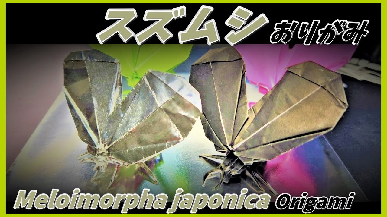 スズムシおりがみ(Meloimorpha japonica origami)