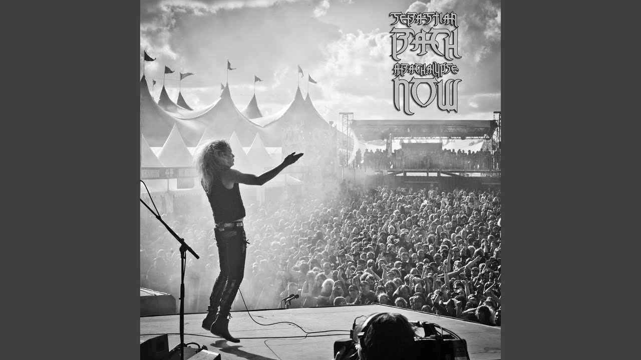 Monkey Business (Live at Hellfest)
