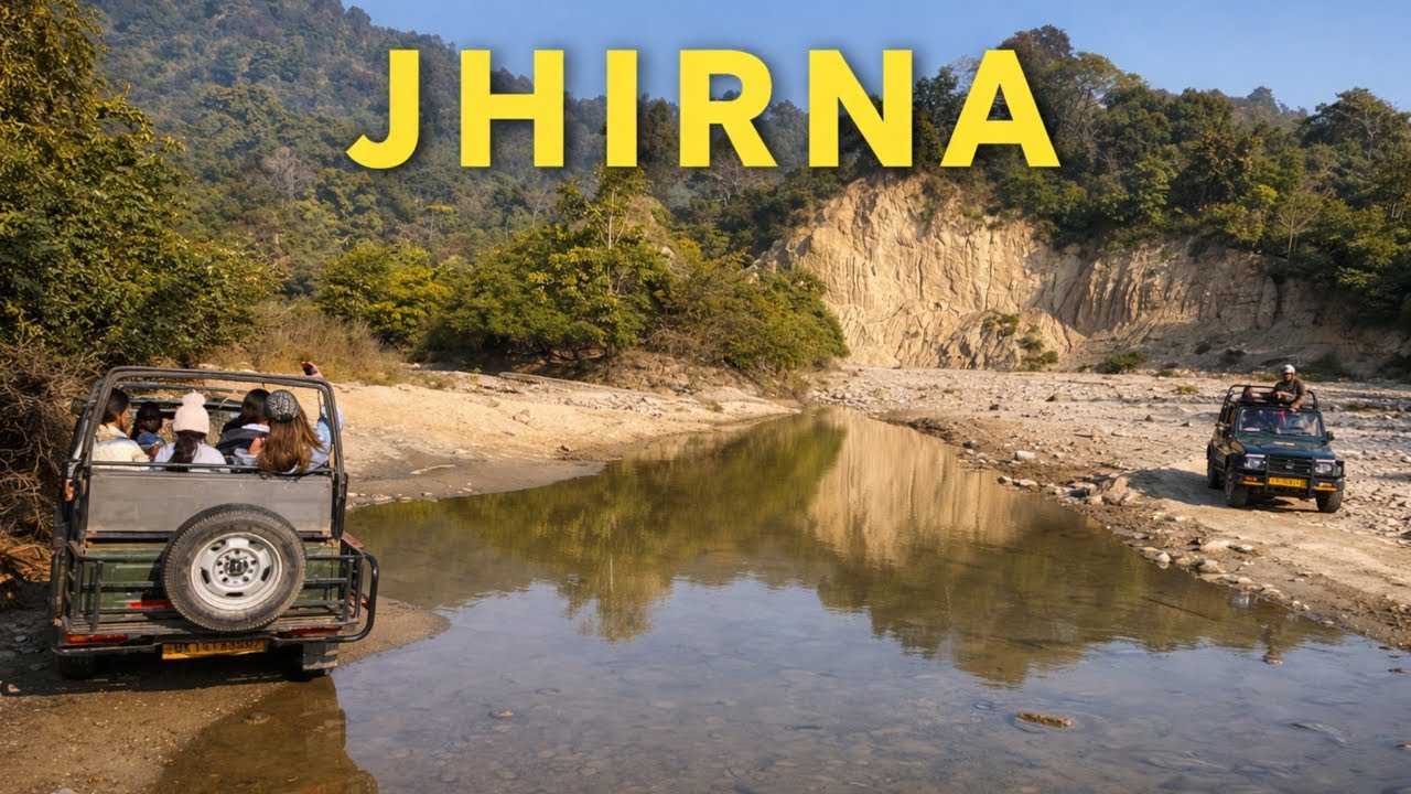 Jim Corbett National Park | Jhirna Zone | Dhela Zone | Wildlife Safari | Uttarakhand Tourism |