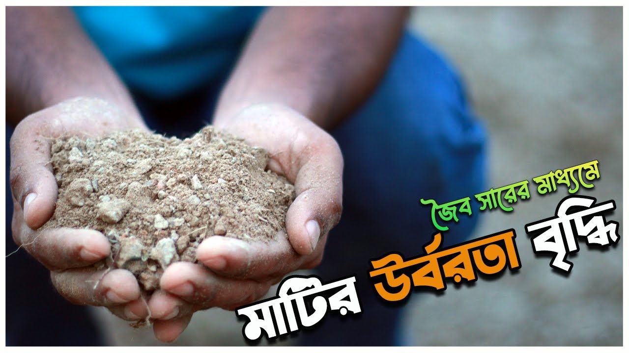 জৈব সারের মাধ্যমে মাটির উর্বরতা বৃদ্ধি | Enhancing Soil Fertility Through Organic Fertilizers