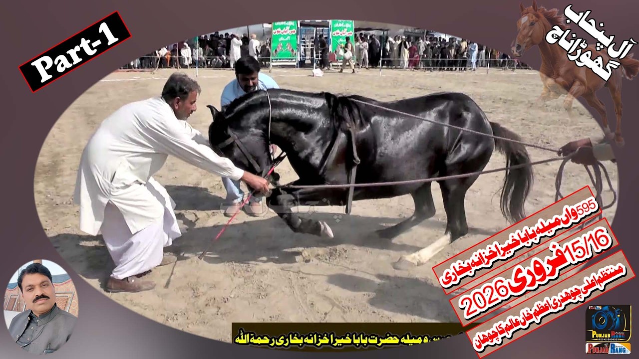 Horse Dance l 15 Feb 2026 l Baba Khera Khazana Bukhari Rati Tibi Safdarabad Sheikhupura - Part 1
