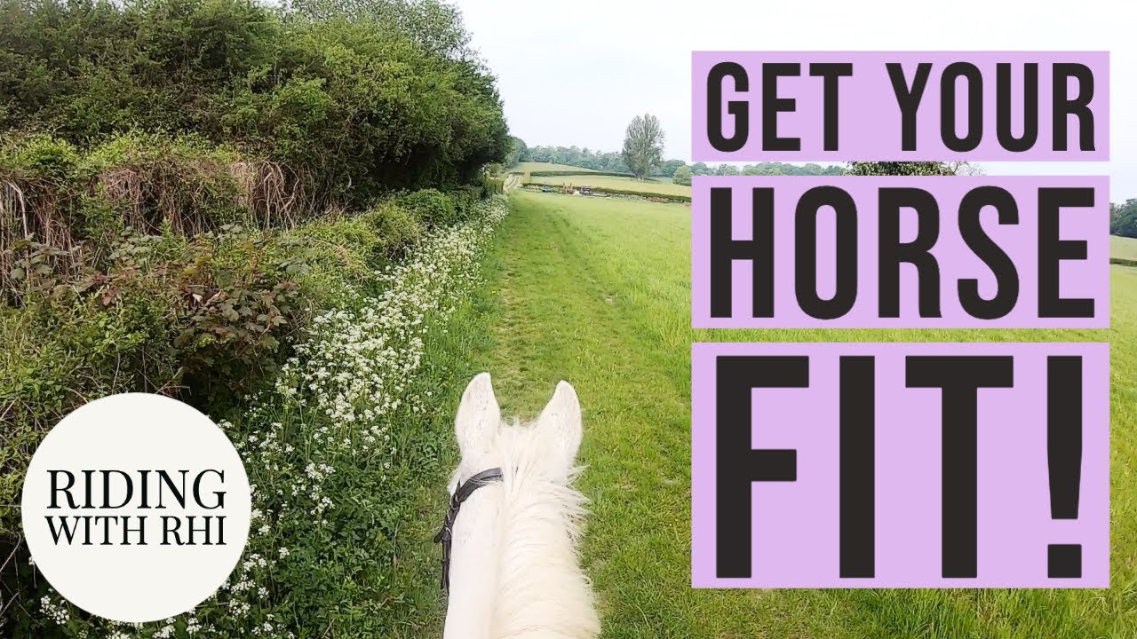 HOW TO GET YOUR HORSE FIT (4 STEPS) | UK Equestrian YouTuber