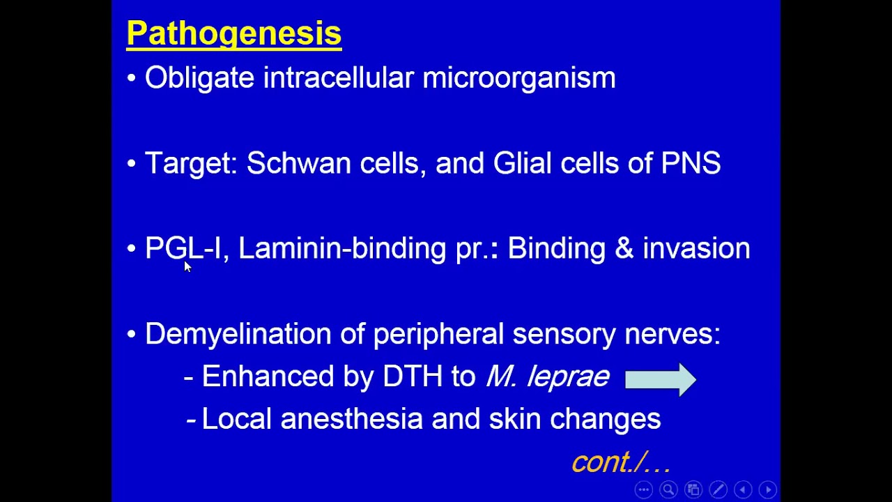 Lec. 1 | Microbiology (Dr. Zain) | Mycobacterium leprae , Clostridium tetani & Clostridium botulinum