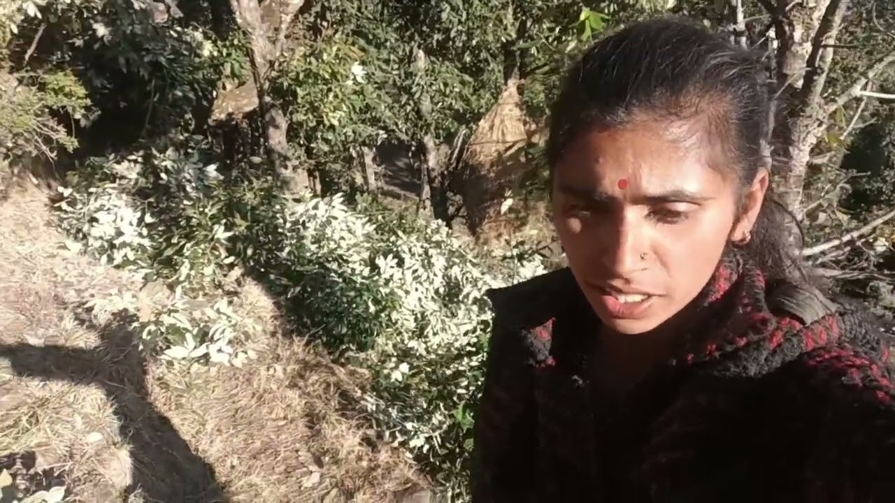 आलू लगाने का काम like# comment# subscribe please 