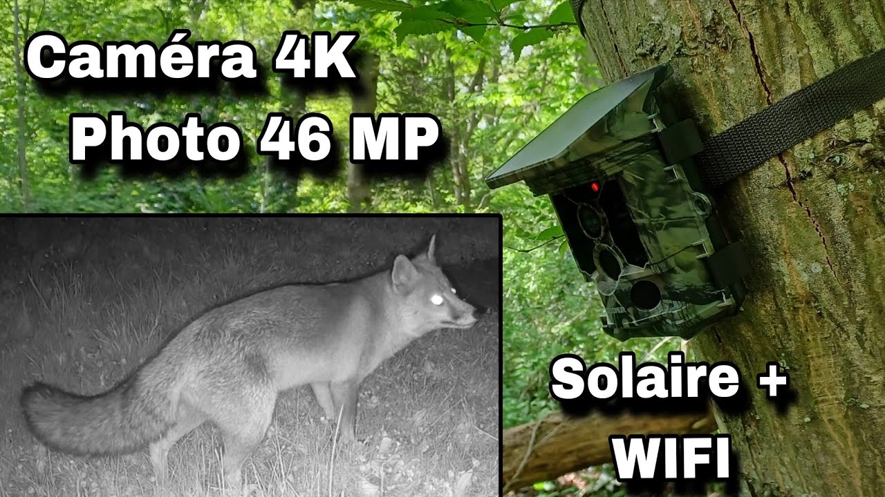 SUPER IMAGES!! Cam&eacute;ra CEYOMUR CY95