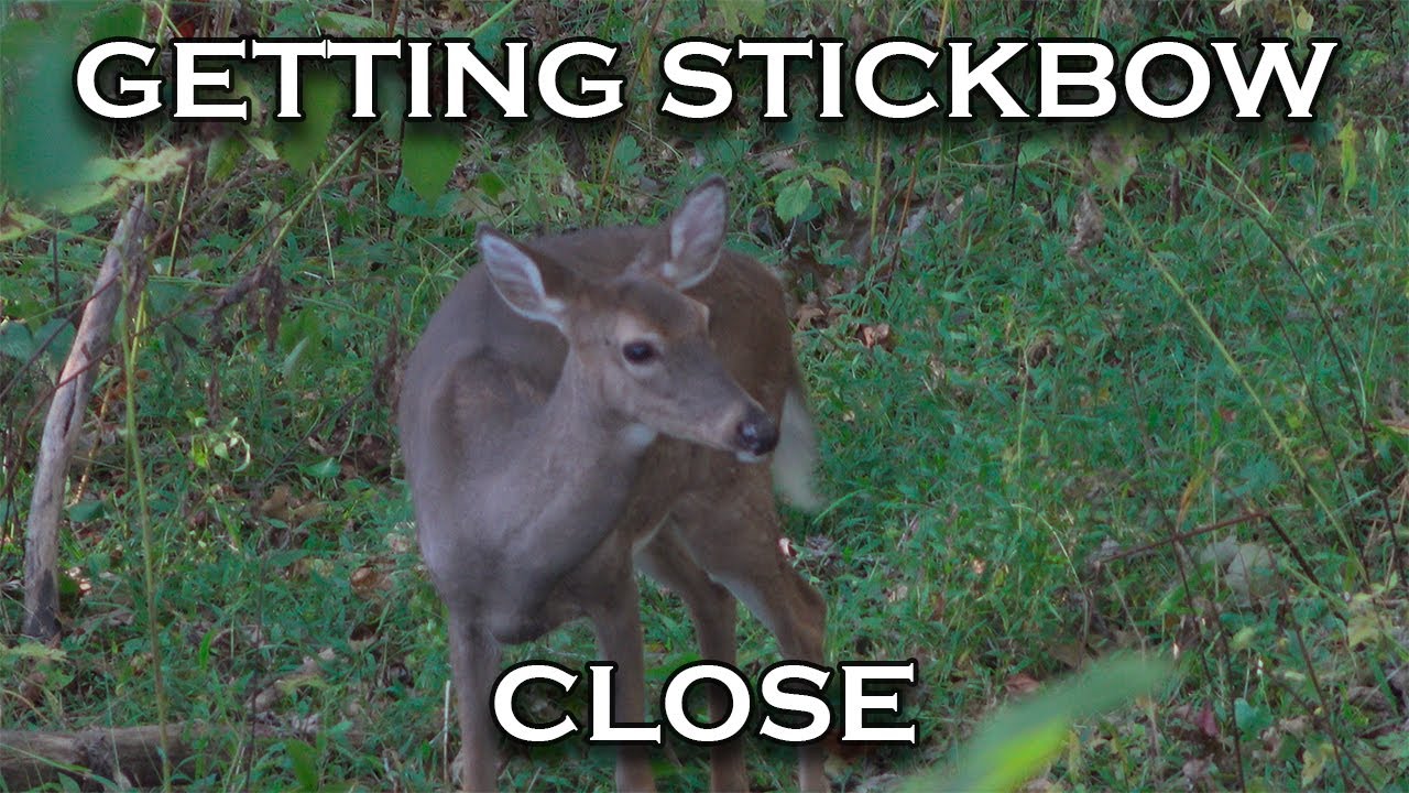 How To Consistently Get Stickbow Close To Deer. Traditional/Compound Bow Hunting Tips.