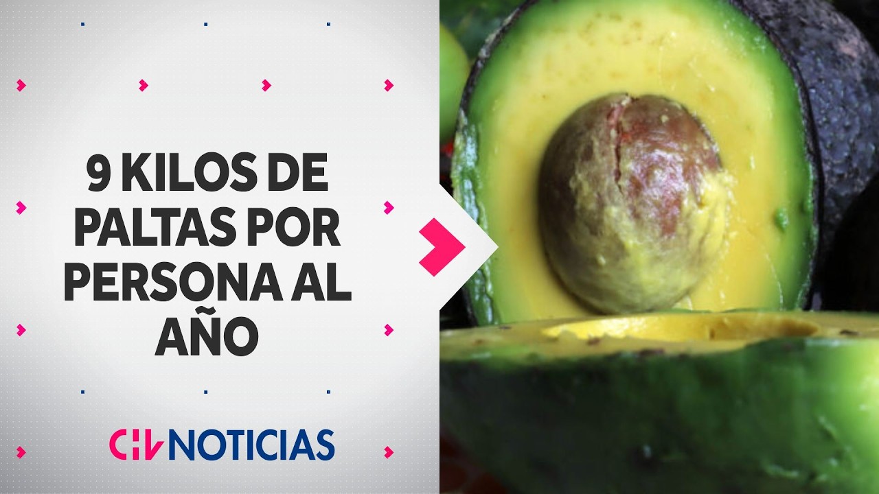 Alcanzó récord: Chile es el segundo consumidor de palta con casi 9 kilos por persona en el 2025