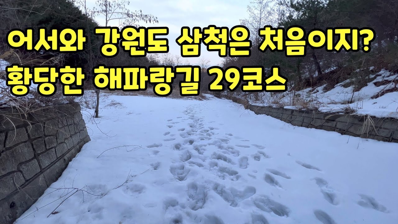 [MJ] 전국일주 33일차-해파랑길 29코스 황당한 신고식 삼척코스