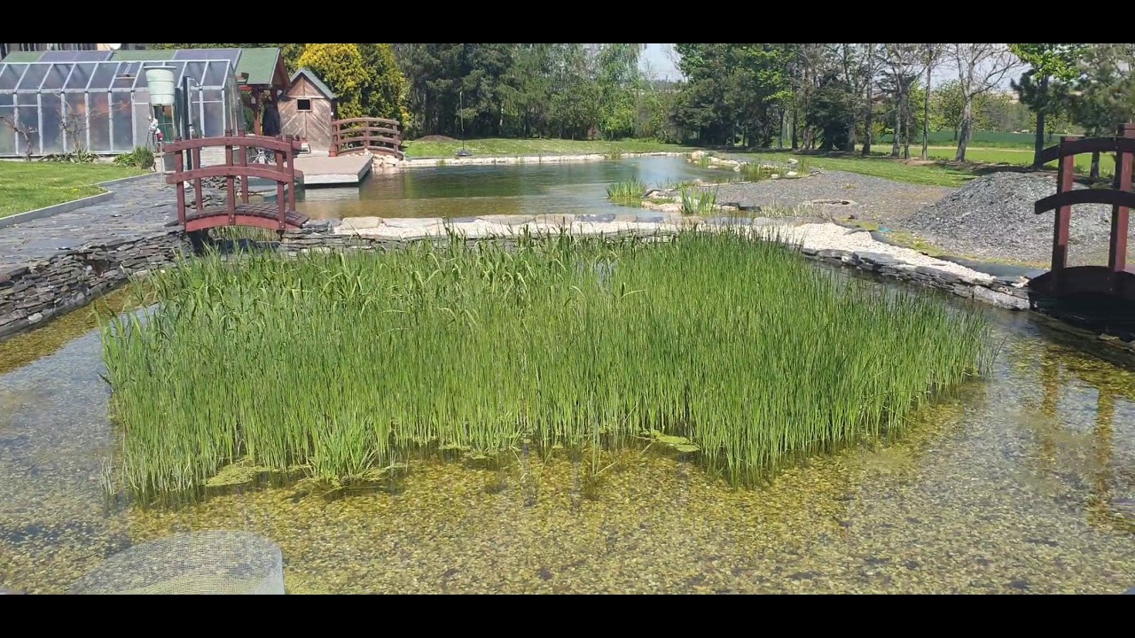 Biotop - jezírko Opava