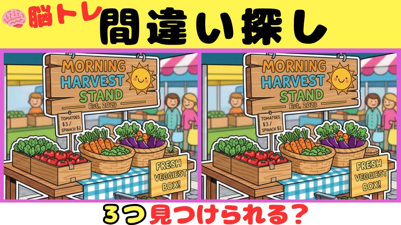 【間違い探し】見つけたら天才！！３つの間違いを探そう【脳トレ】#13