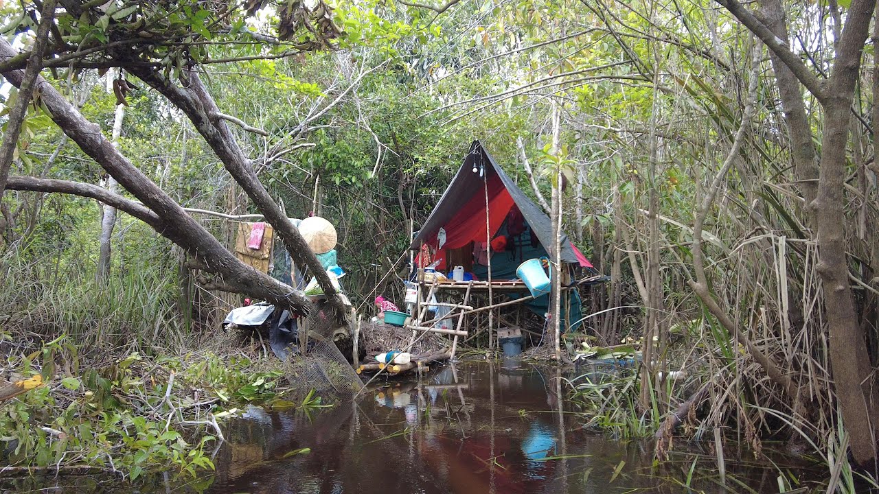 5 HARI 3 MALAM DI HUTAN RAWA, MEMBUAT SHELTER, BERBURU IKAN & PERANGKAP SERTA MONSTER TERKENA RAWAI.