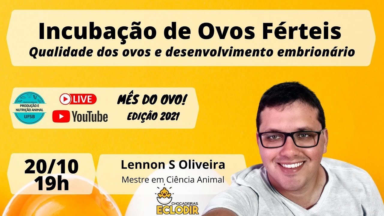 Mês do Ovo - Incubação de Ovos Férteis | Qualidade dos ovos e desenvolvimento embrionário
