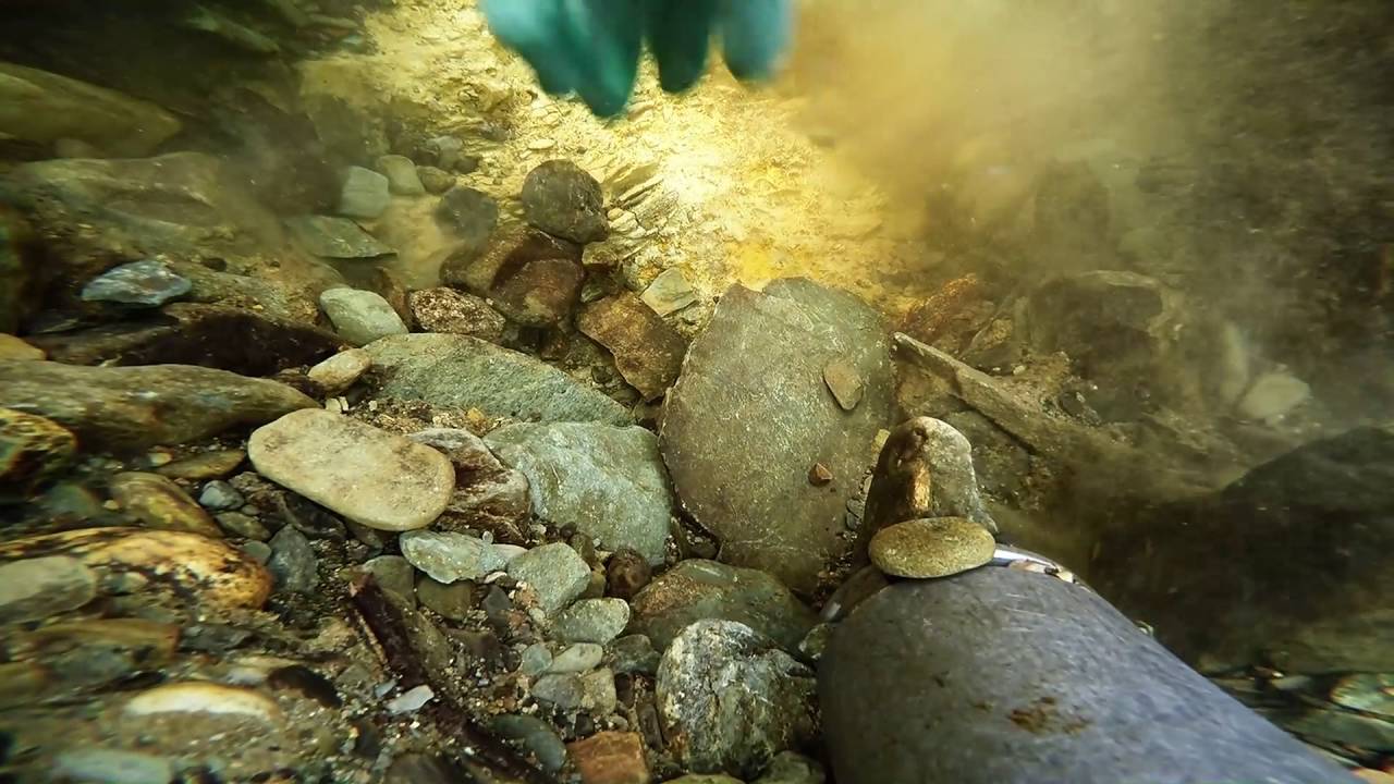 Gold dredging in gisna