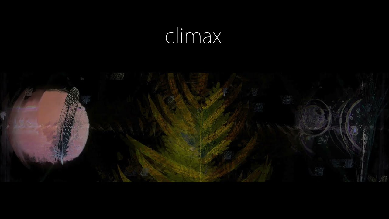 climax (music for bio art by Aleksandra Trojanowska)