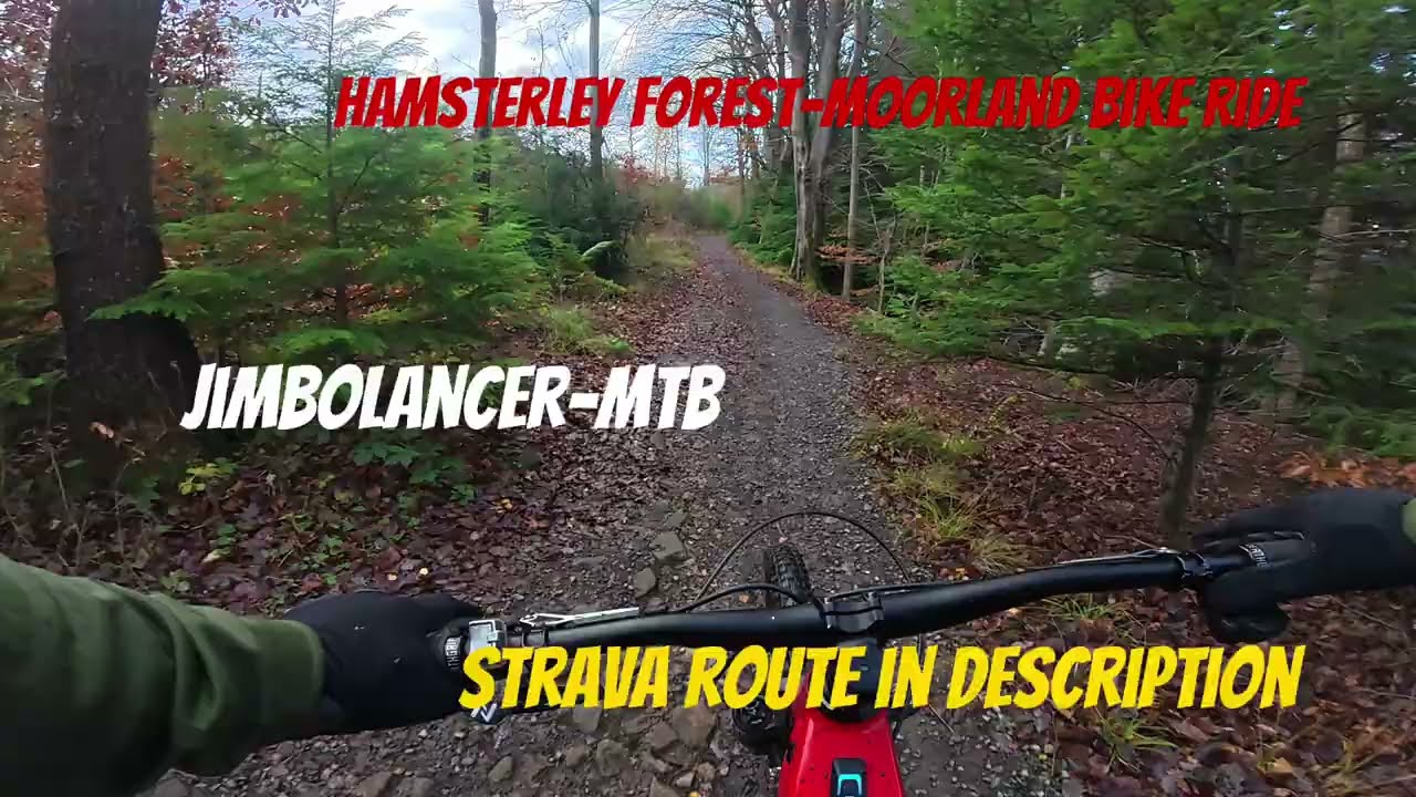 Bike Ride | Hamsterley Forest | Moorland | Something different