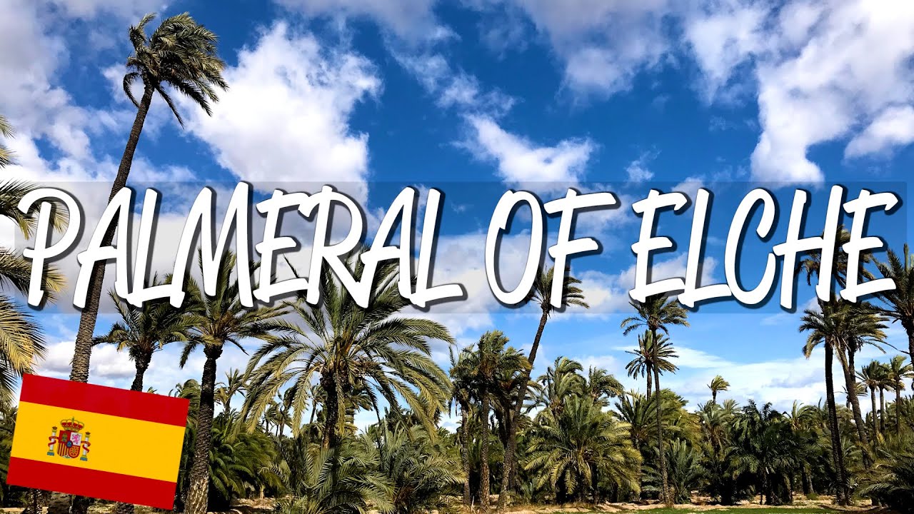 Palmeral of Elche - UNESCO World Heritage Site