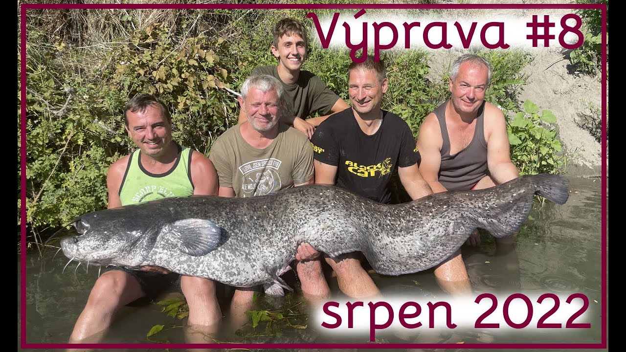 Výprava #8