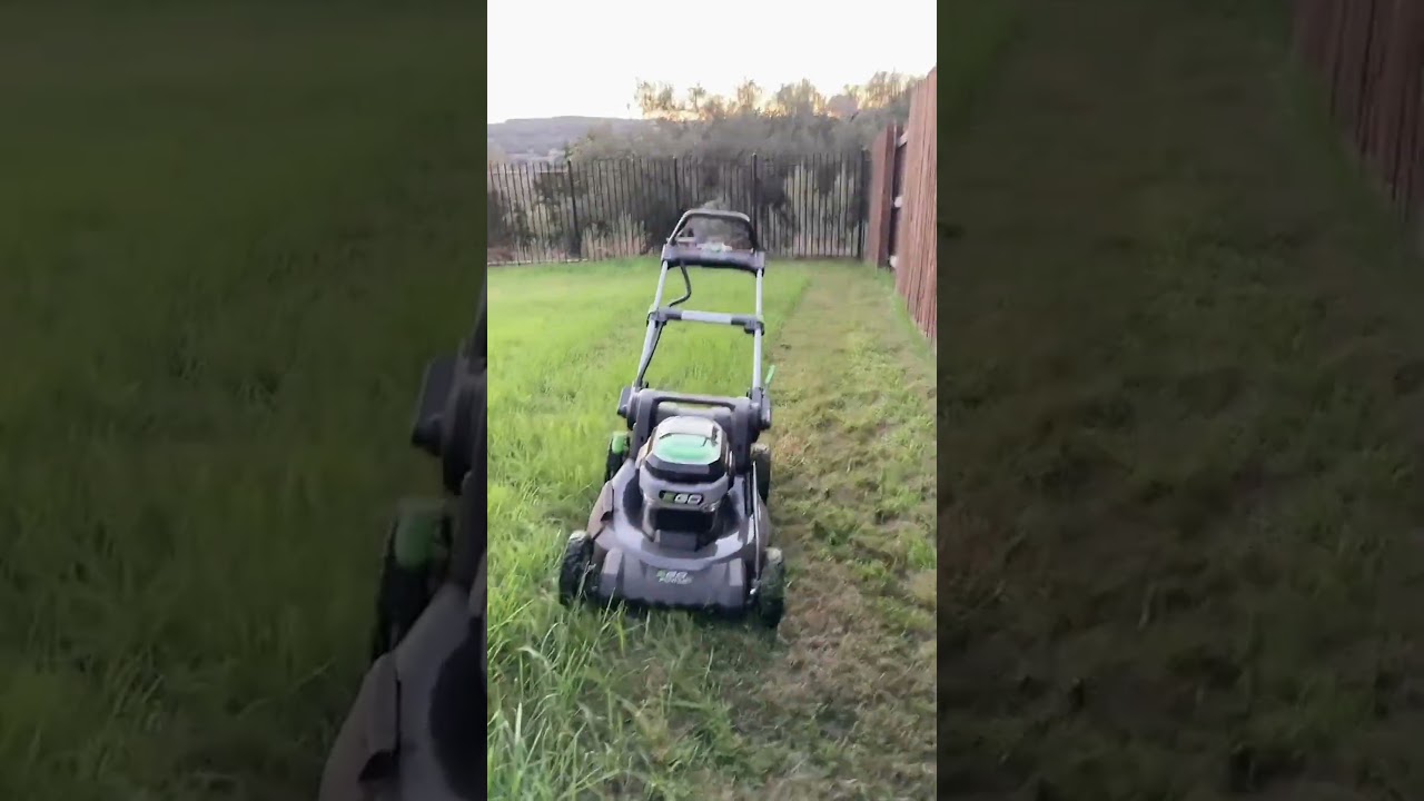 Planted 'Annual' Rye, It's Back! Must Be Mislabelled &ndash; Mowing Madness