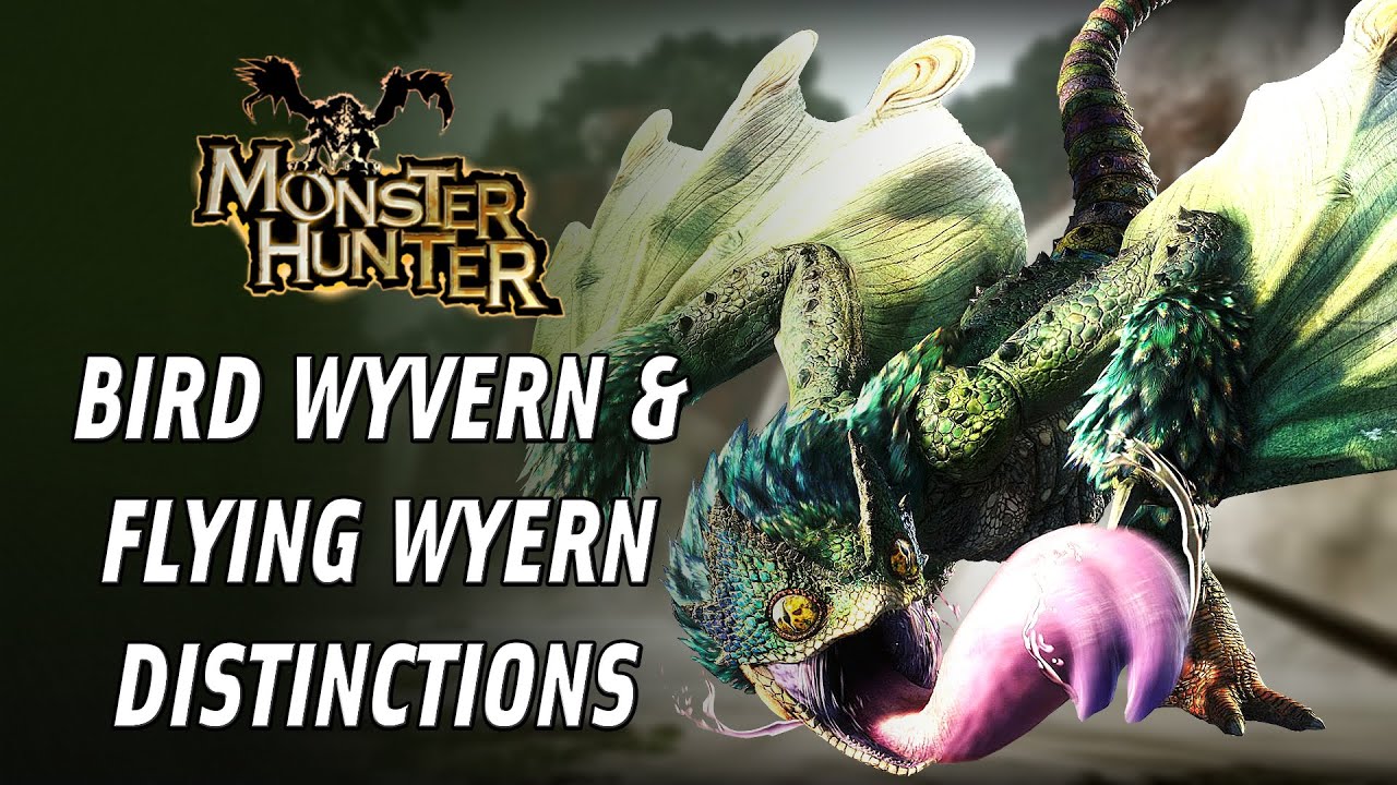 Bird & Flying Wyvern Distinctions - Monster Hunter Lore