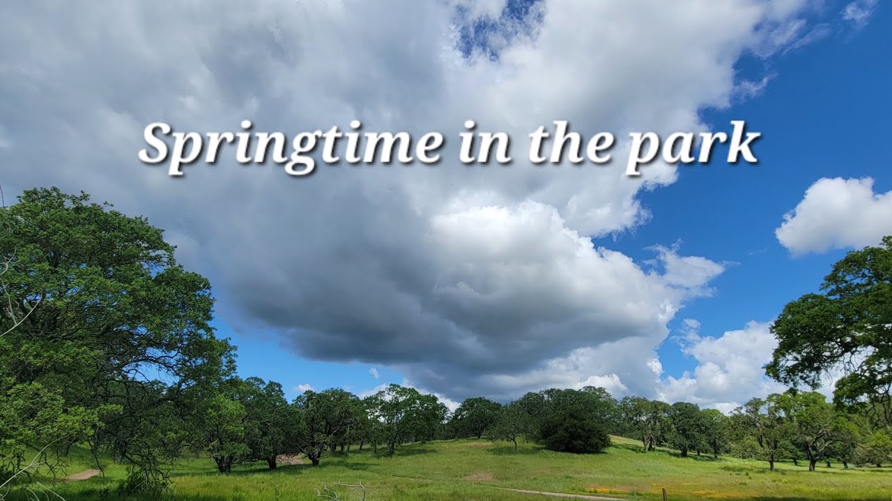 Springtime in the park