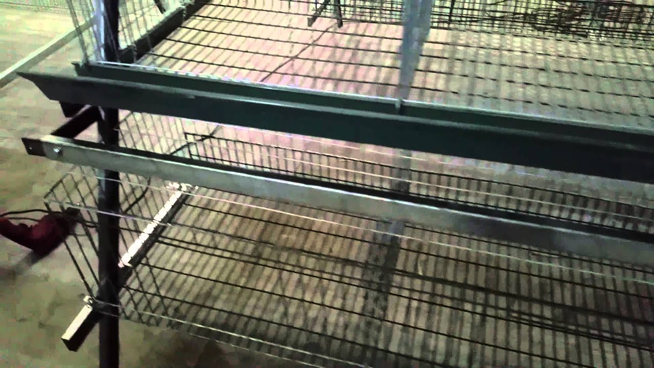 chicken cage assemble