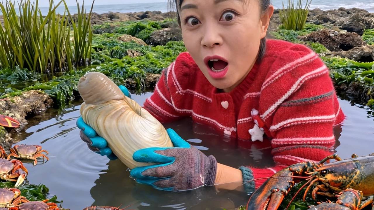 Xiao Zhang, While Beachcombing, Discovered A Strange Creature—Thick And Large.