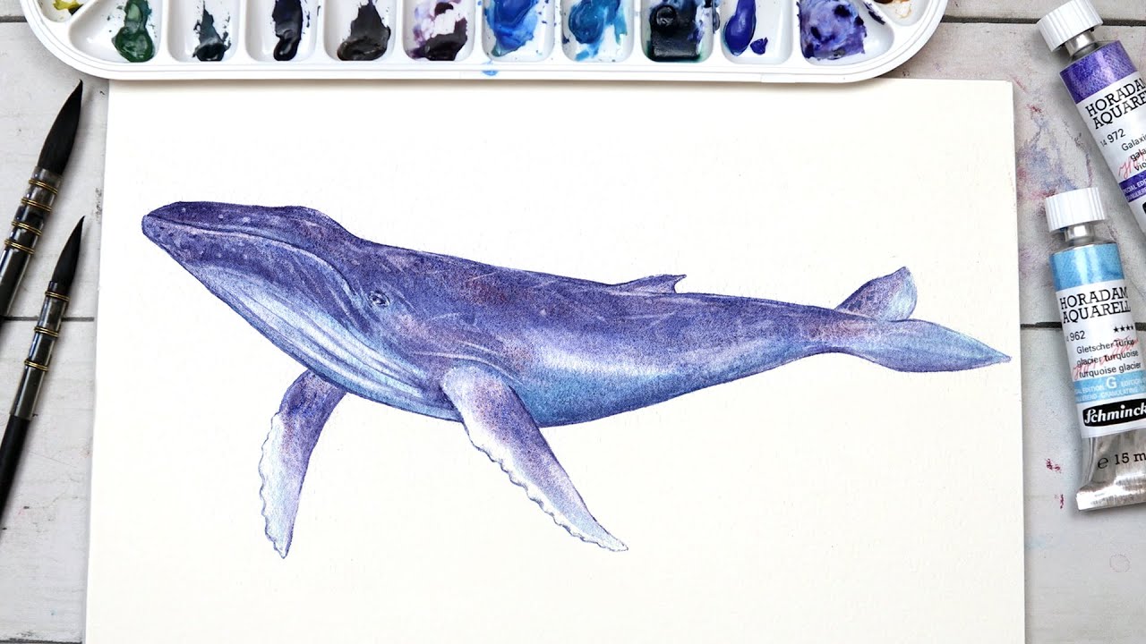 Tutorial acquerello | Dipingere una balena 🎨🐋 quasi ASMR