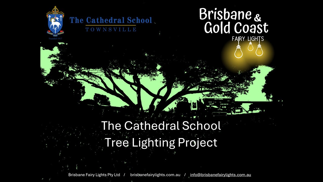 DRONE PROJECT FOOTAGE - The Cathedral Tree Lighting Project 2024