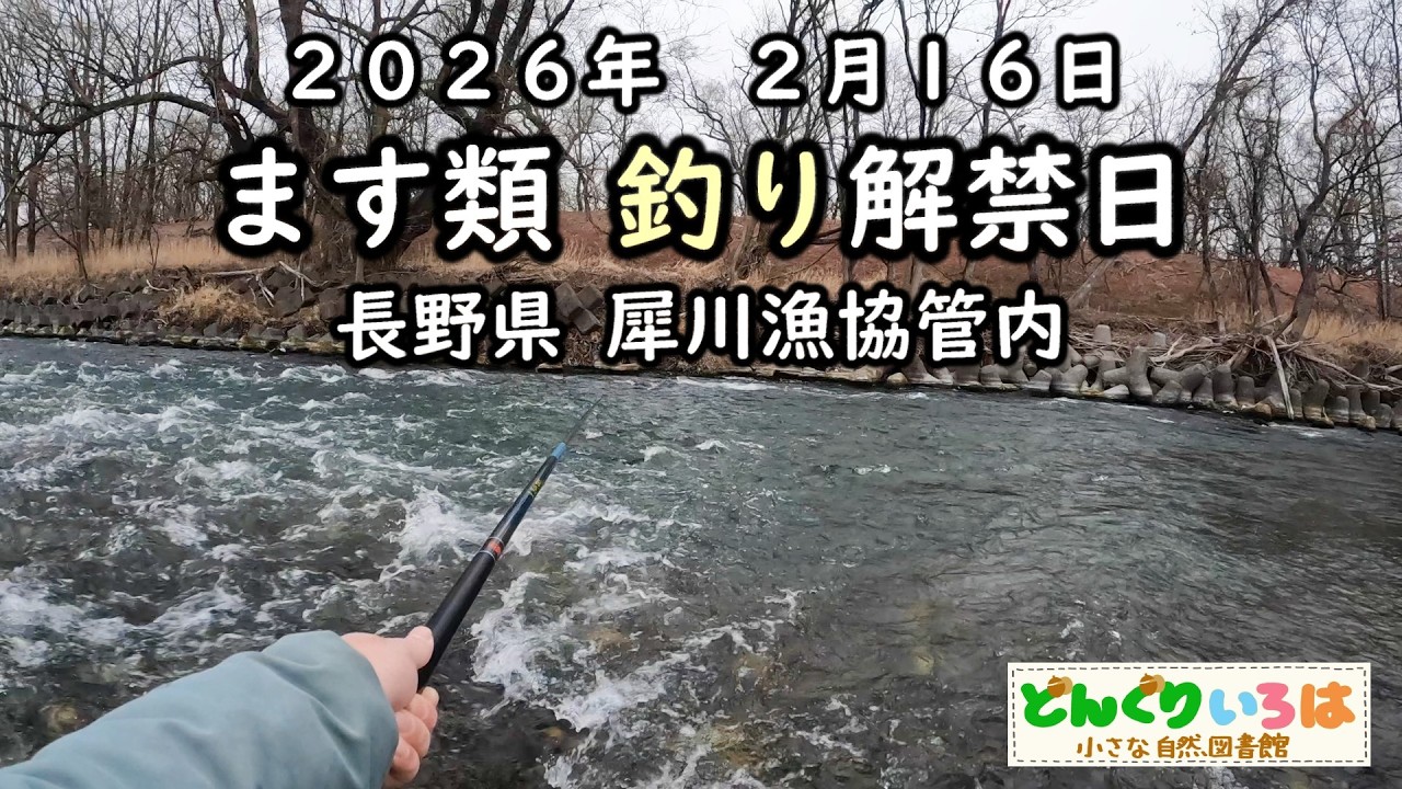 ます類釣り解禁日 2026【長野県犀川漁協管内】