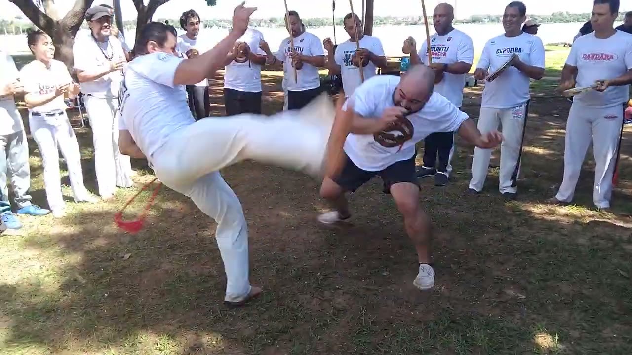 Mestrando Búfalo 