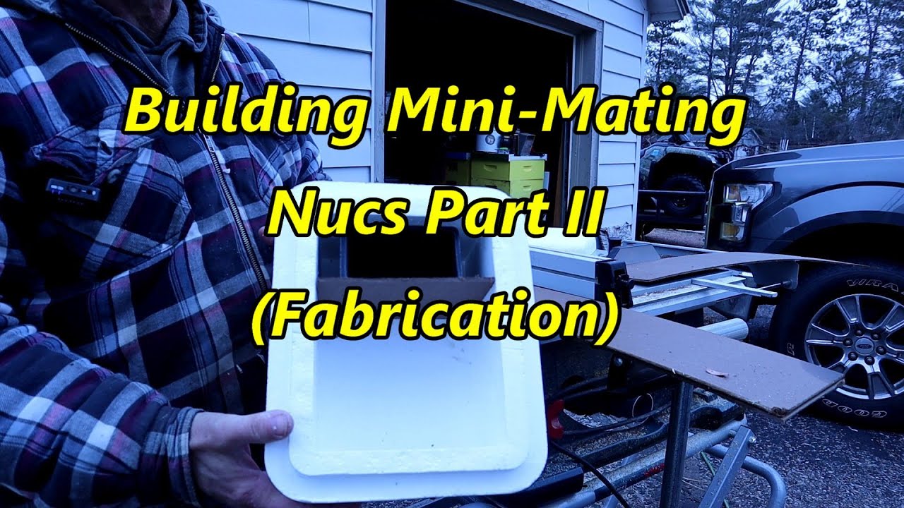 ✅ Building  Mini Mating Nucs   Part II