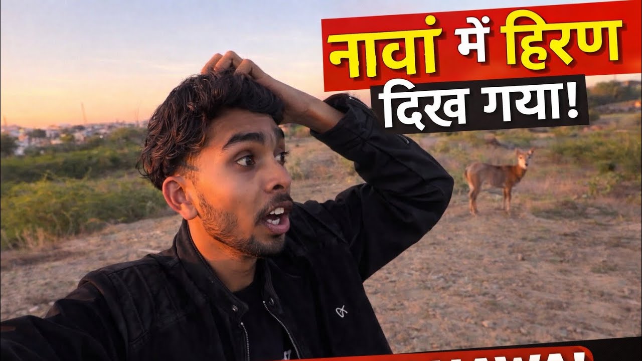 Nawa me Hiran 🦌 Dikh Gya 🤫