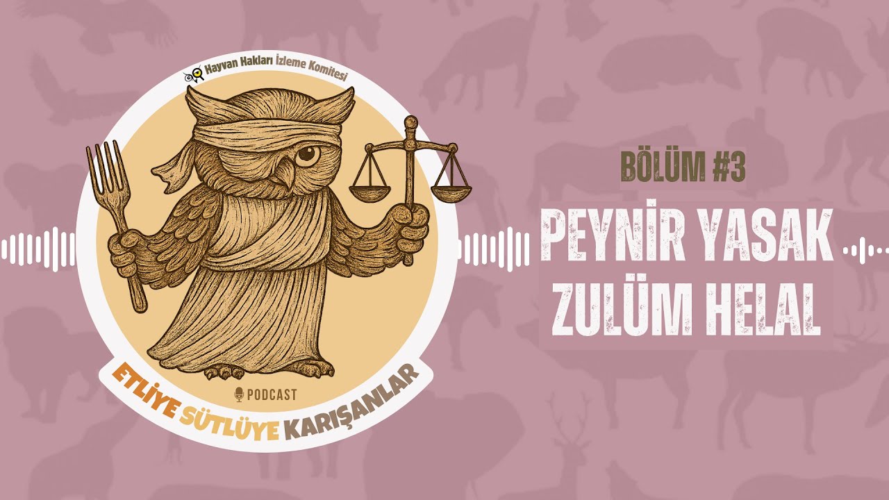 Peynir Yasak Zulüm Helal (Konuklar: Dr. Gülbike Mirzaoğlu & Dr. Sueda Evirgen) - Bölüm 3