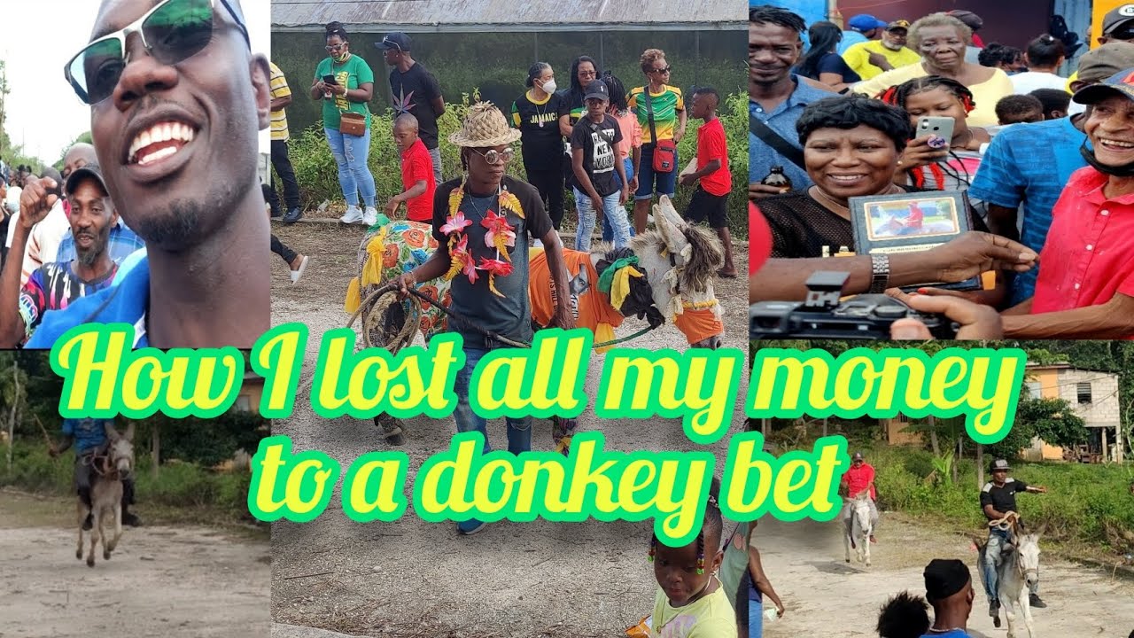 Jamaica 60th donkey race in (crofts hill Clarendon)