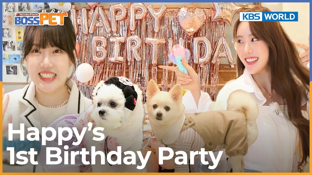 Happy's 1st Birthday Party! 🎂🎈🥳 [Boss Pet : EP.16-2] | KBS WORLD TV 221022
