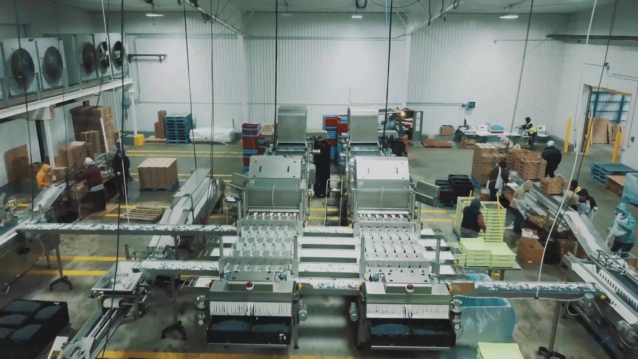 Customer Story - Generation Farms - Integrated Blueberry Solution