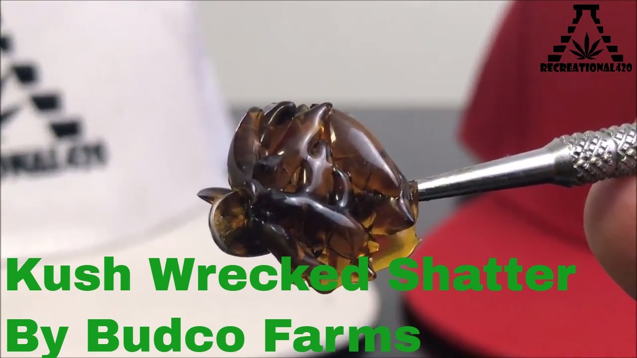 Recreational Cannabis Review of Kush Wrecked Shatter By Budco Farms