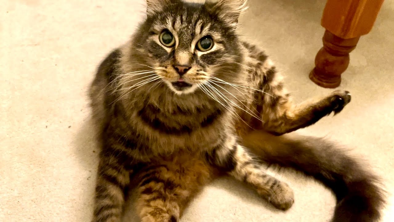 Eric says ‘sleep all day, party all night’