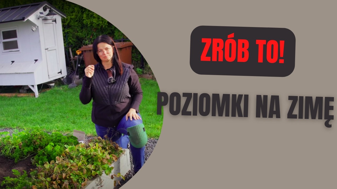 POZIOMKI NA ZIMĘ - ZR&Oacute;B TO!