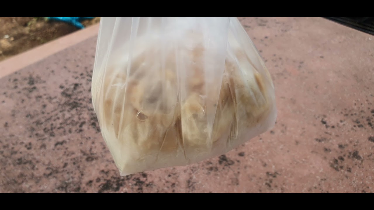Borbor - Cambodian Porridge