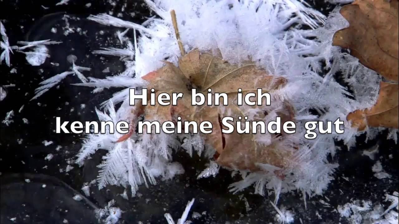 Majest&auml;t