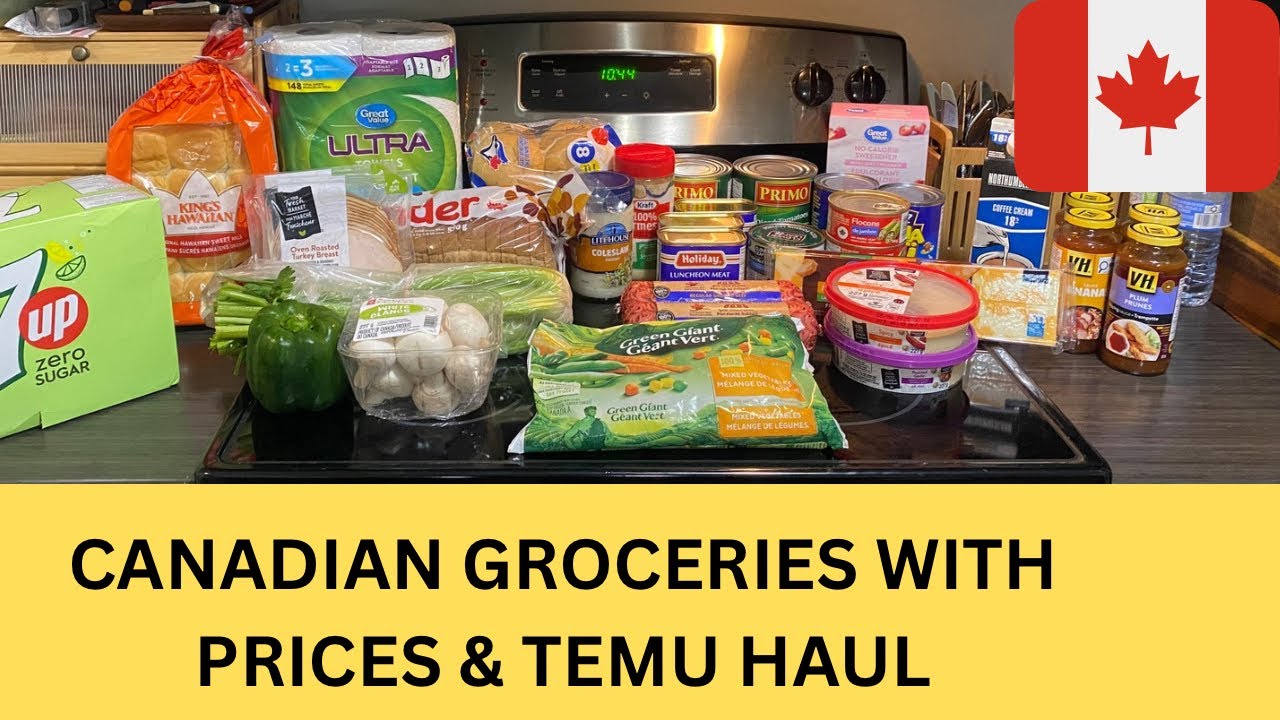 CANADIAN GROCERIES WITH PRICES &TEMU HAUL