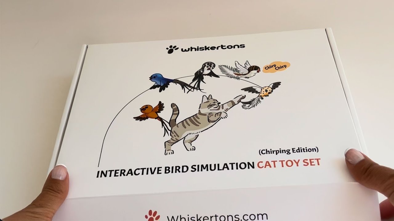 Whiskertons Interactive Bird Simulation Cat Toy Set (Chirping Edition)