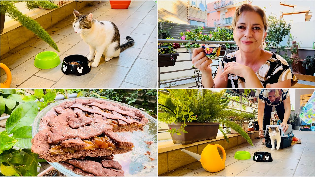 Кафе с Мичо + рецепта сладкиш без масло 🐈☕️ 🍰