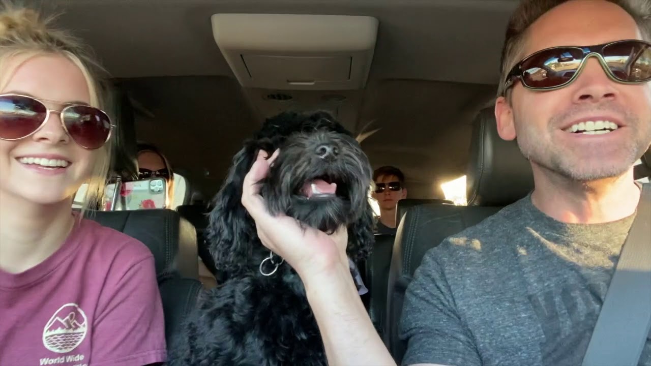 Quarantine Lip Sync Challenge - Mr Blue Sky - ELO (Baker Family)